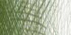 /images/derwent/colores/cedargreen_s.jpg