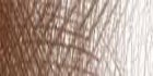 /images/derwent/colores/chocolate_s.jpg