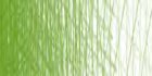 /images/derwent/colores/grassgreen_s.jpg