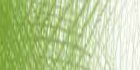 /images/derwent/colores/junipergreen_s.jpg