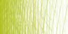 /images/derwent/colores/maygreen_s.jpg