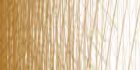 /images/derwent/colores/rawumber_s.jpg