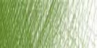 /images/derwent/colores/sapgreen_s.jpg