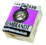 Rembrandt: acuarela: medio godet